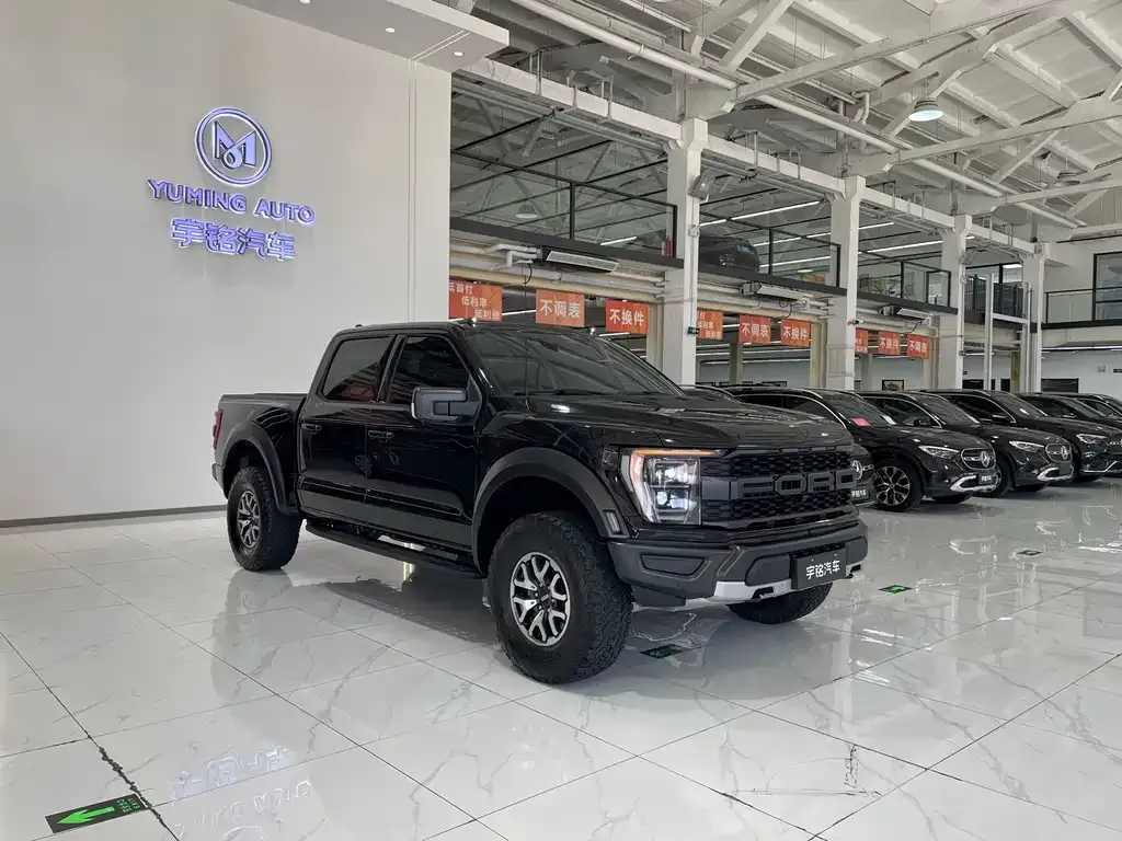 [object Object] F-150 Raptor 2023 из CN, фото 6