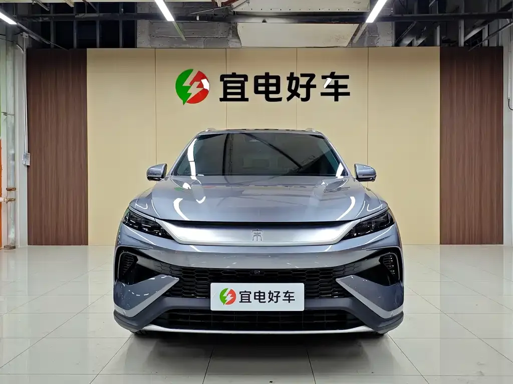 BYD Pro New Energy 2024 из CN, фото 2