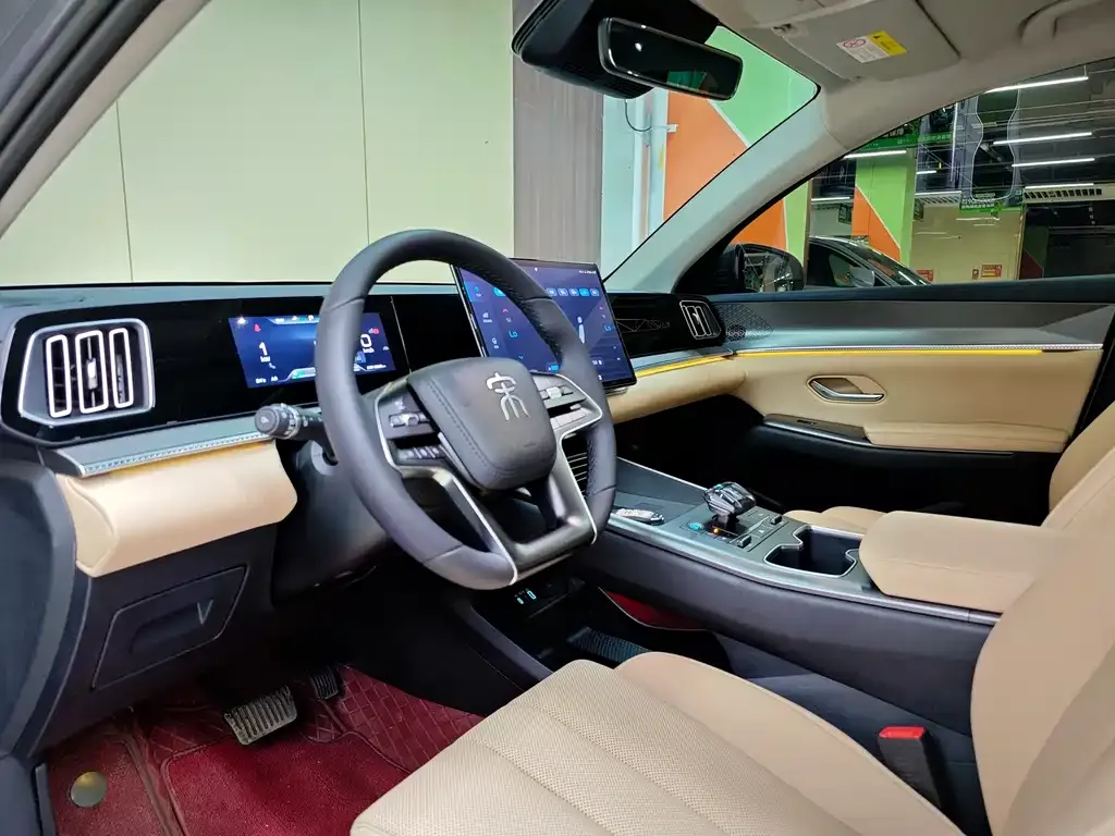 BYD Pro New Energy 2024 из CN, фото 4
