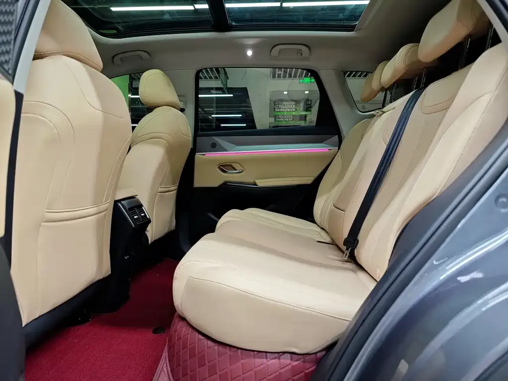 BYD Pro New Energy 2024 из CN, фото 6