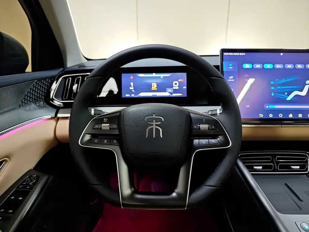 BYD Pro New Energy 2024 из CN, фото 9