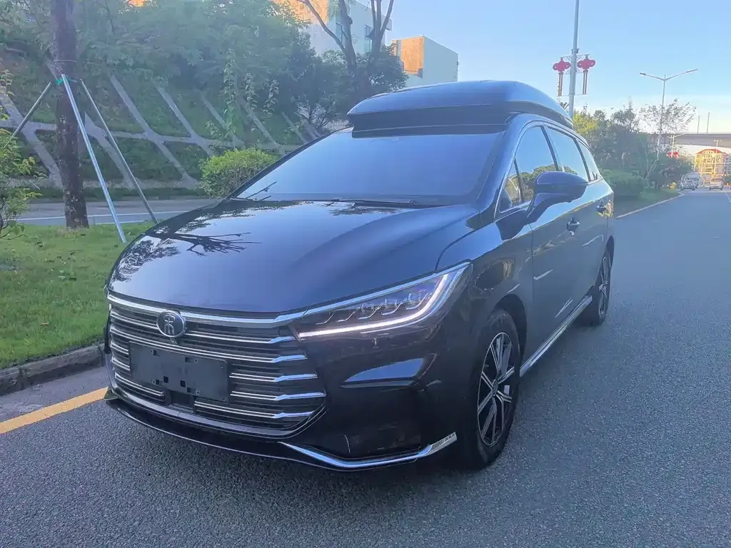 BYD MAX New Energy 2023 из CN, фото 1