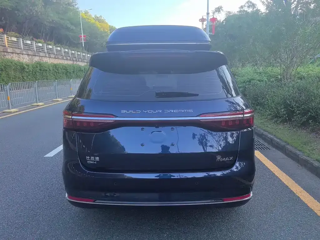 BYD MAX New Energy 2023 из CN, фото 4