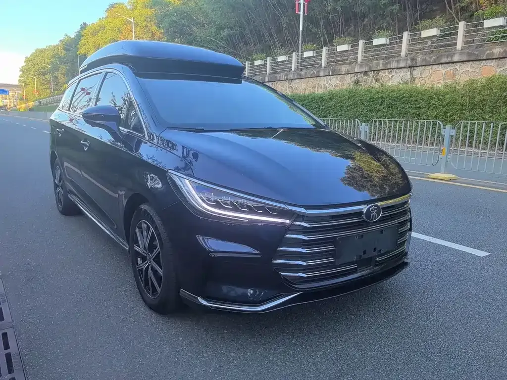 BYD MAX New Energy 2023 из CN, фото 6