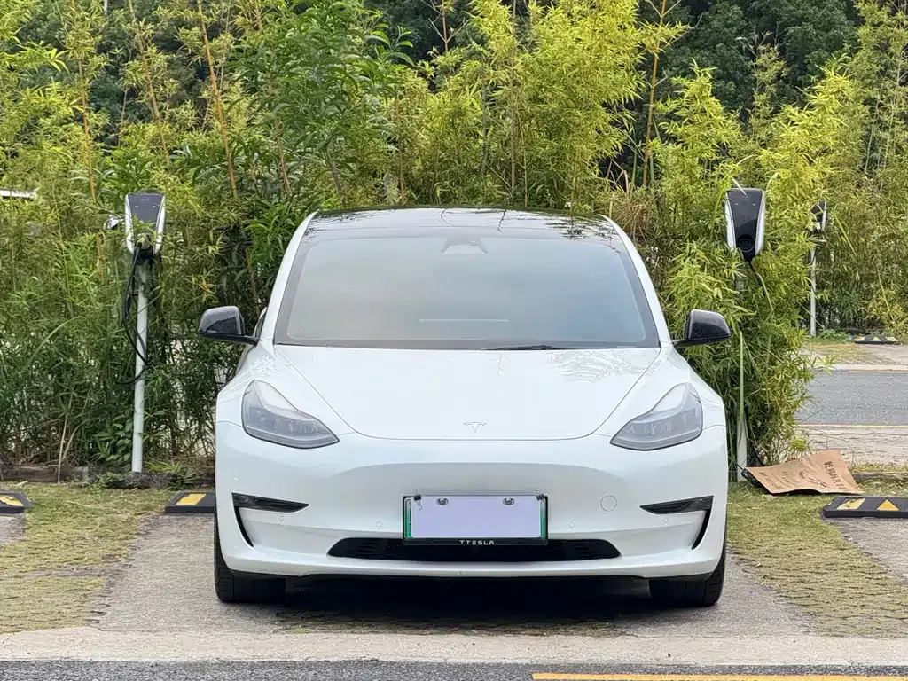 Tesla Model 3 2022 из CN, фото 1