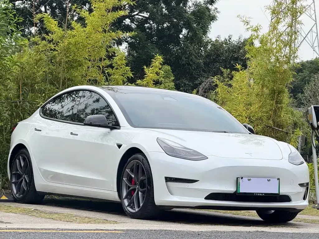 Tesla Model 3 2022 из CN, фото 2