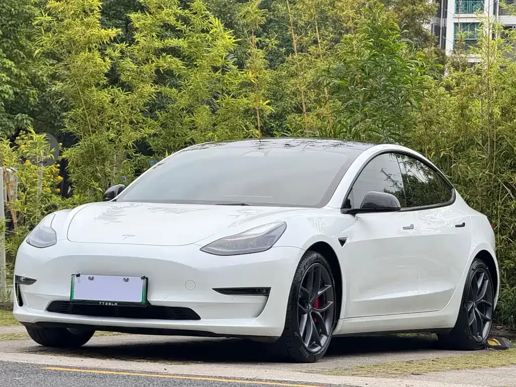 Tesla Model 3 2022 из CN, фото 3