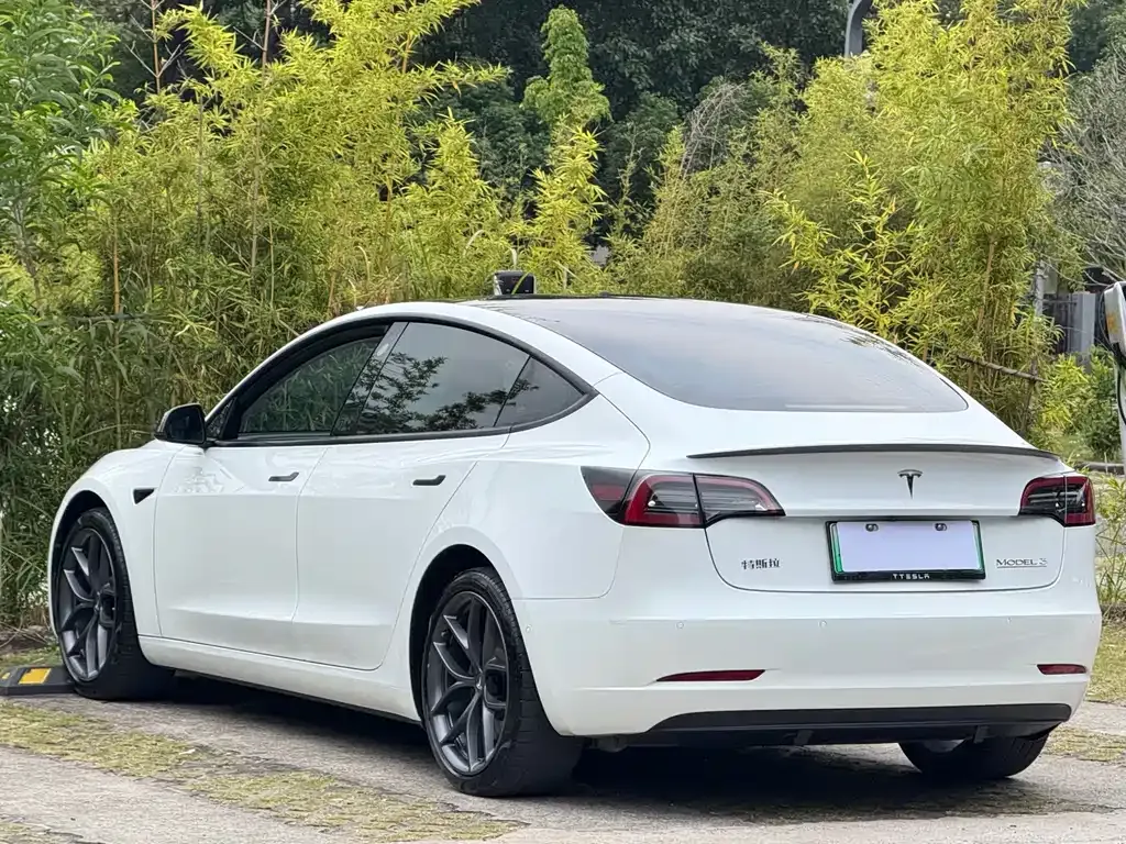 Tesla Model 3 2022 из CN, фото 4