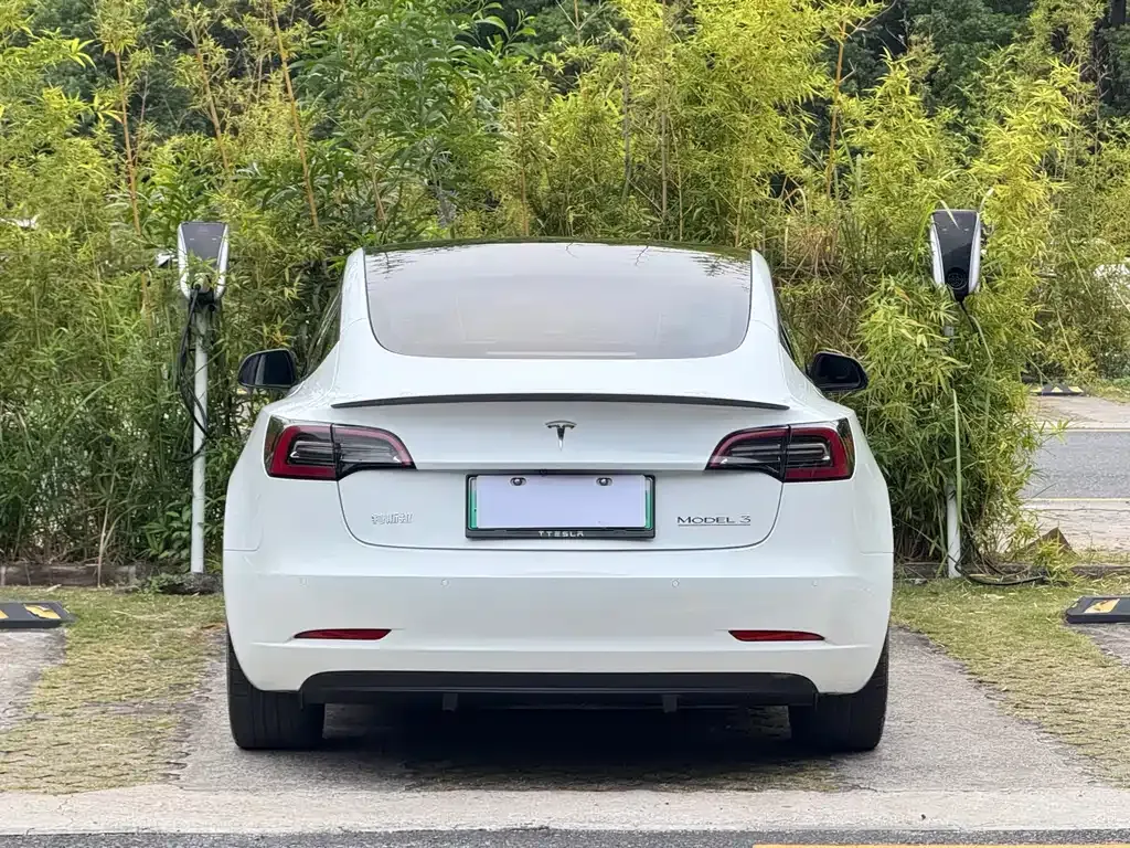 Tesla Model 3 2022 из CN, фото 5