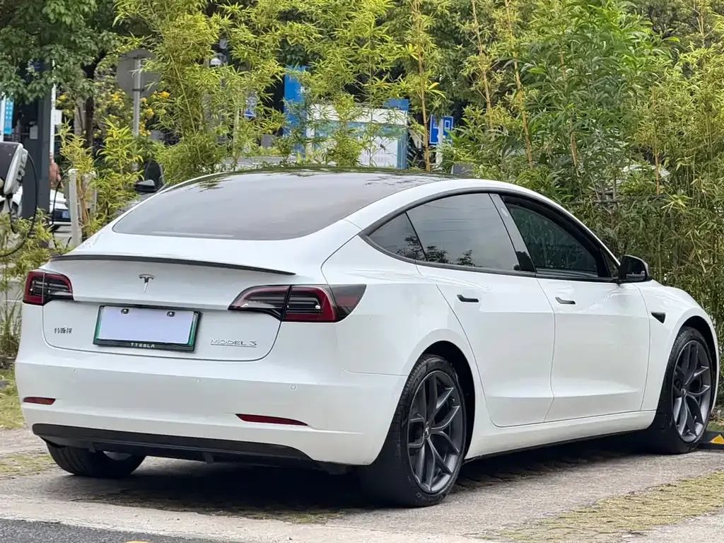 Tesla Model 3 2022 из CN, фото 6
