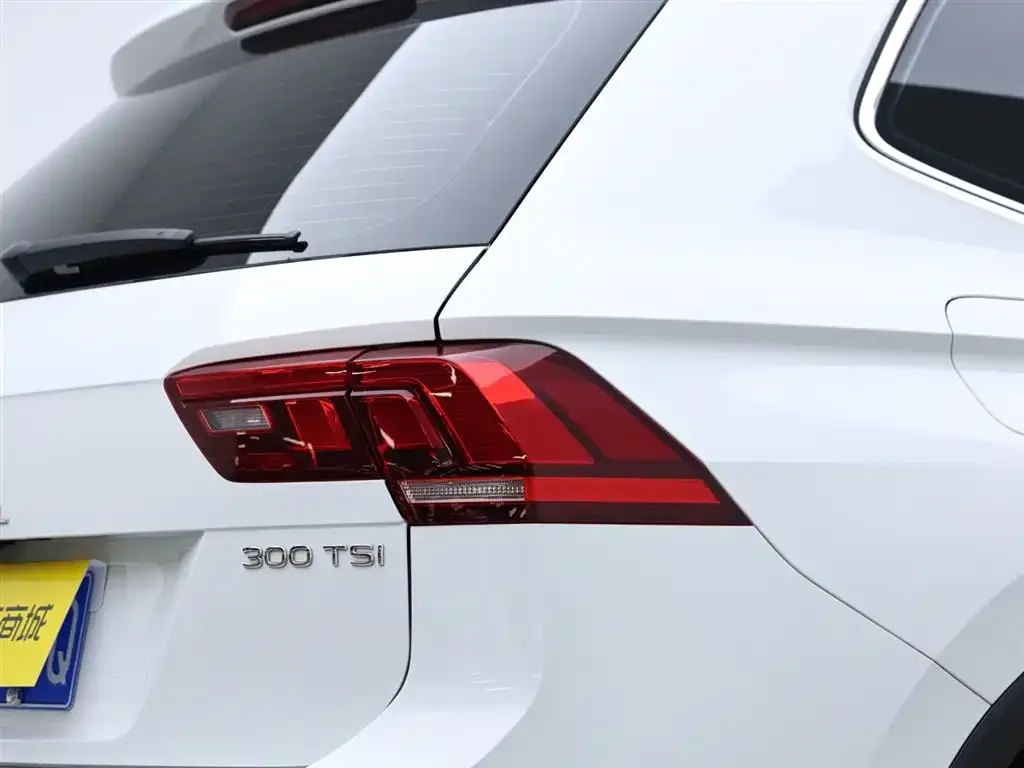 Volkswagen Tiguan L 2023 из CN, фото 5