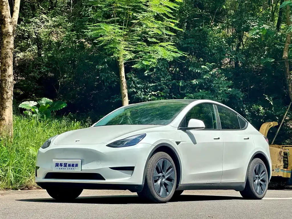 Tesla Model Y 2023 из CN, фото 1