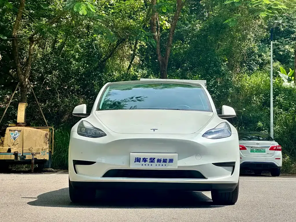 Tesla Model Y 2023 из CN, фото 2