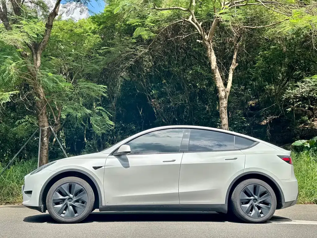Tesla Model Y 2023 из CN, фото 3