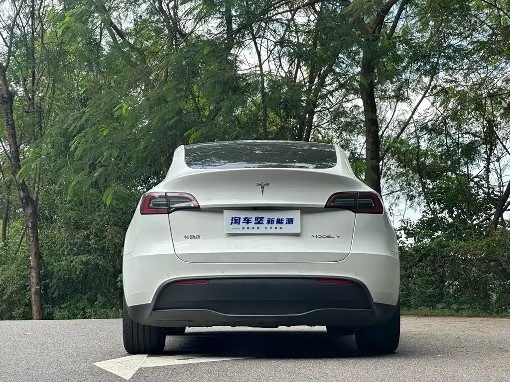 Tesla Model Y 2023 из CN, фото 4