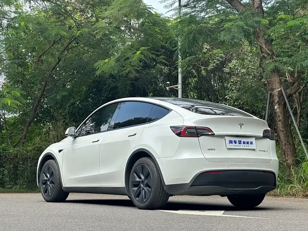Tesla Model Y 2023 из CN, фото 5