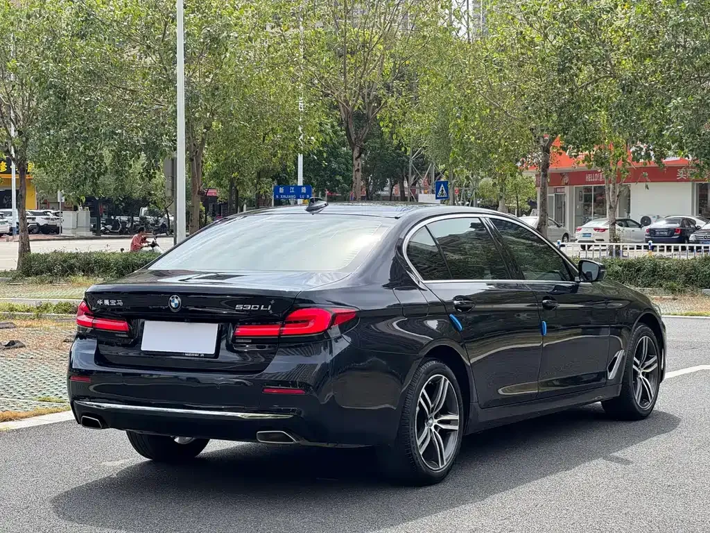 BMW 5 Series 2023 из CN, фото 7