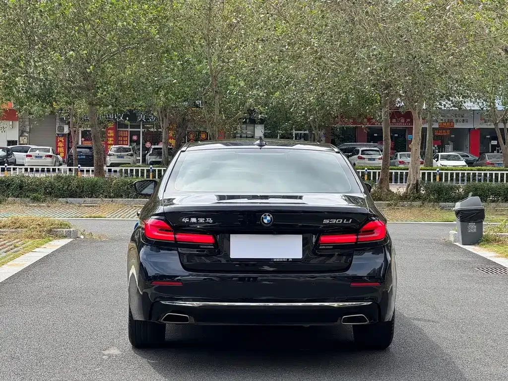 BMW 5 Series 2023 из CN, фото 8