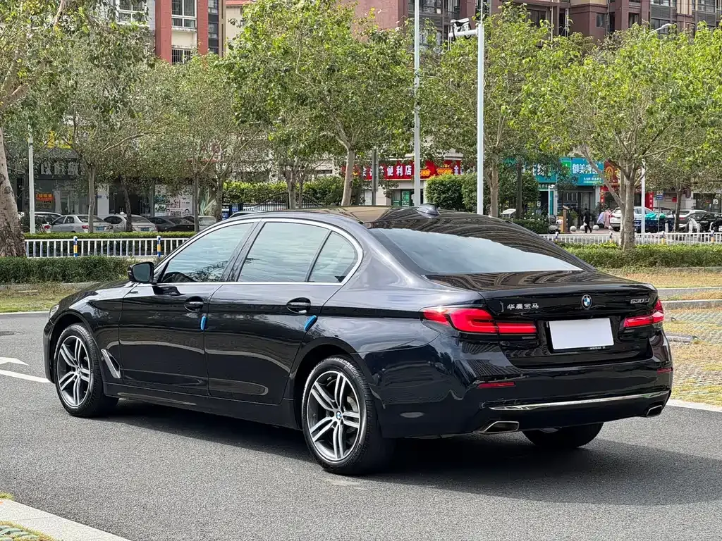 BMW 5 Series 2023 из CN, фото 9