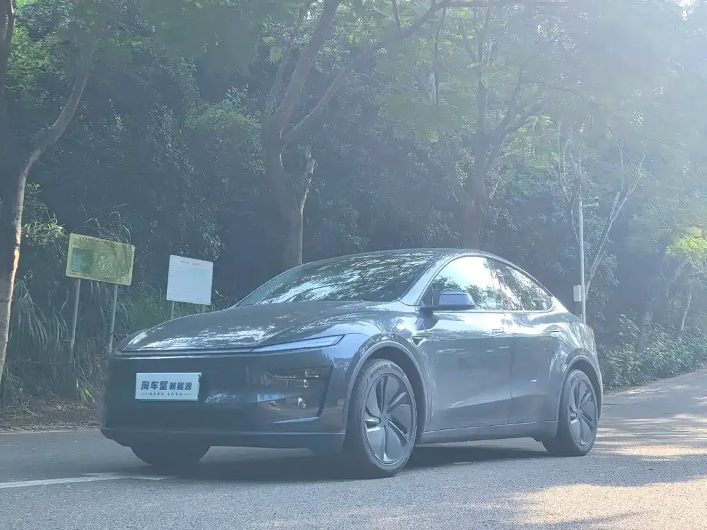 Tesla Model Y 2025 из CN, фото 1