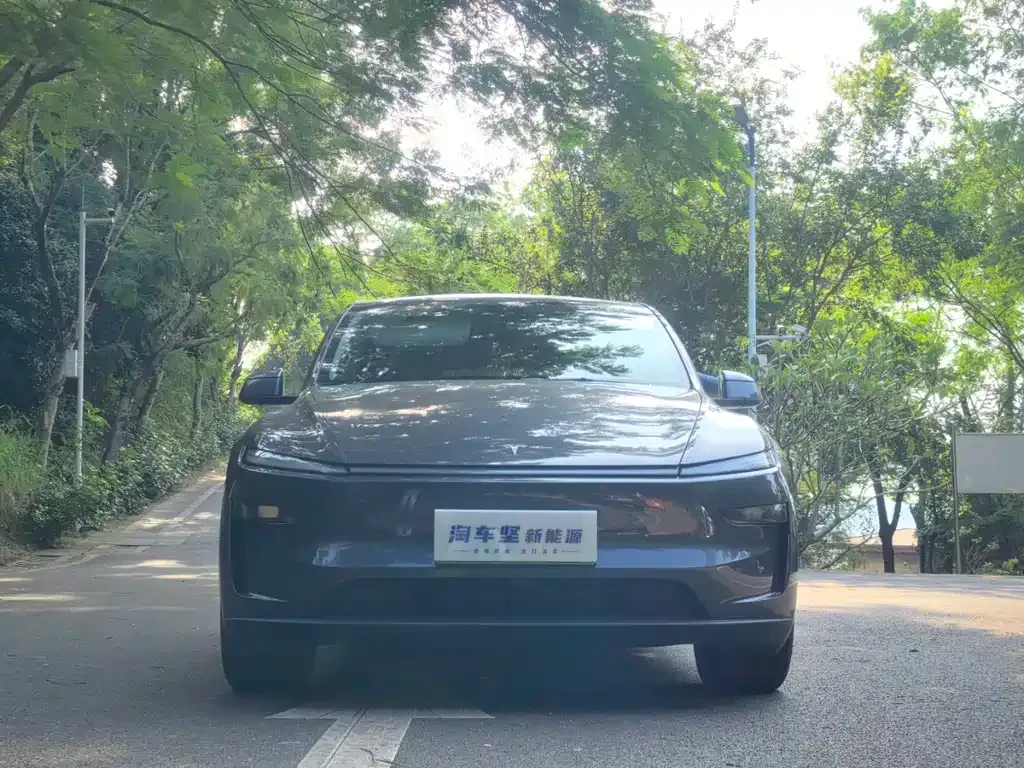 Tesla Model Y 2025 из CN, фото 2
