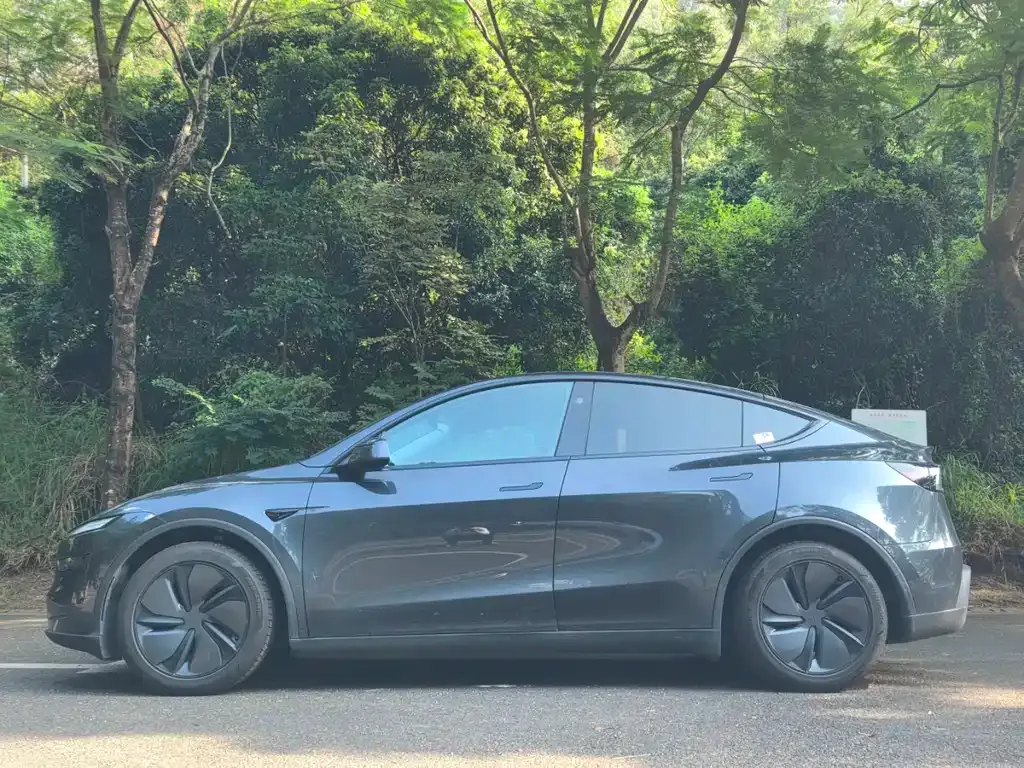 Tesla Model Y 2025 из CN, фото 3