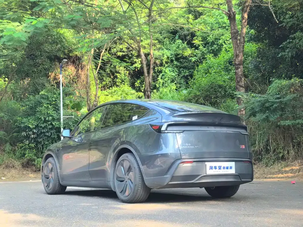 Tesla Model Y 2025 из CN, фото 4