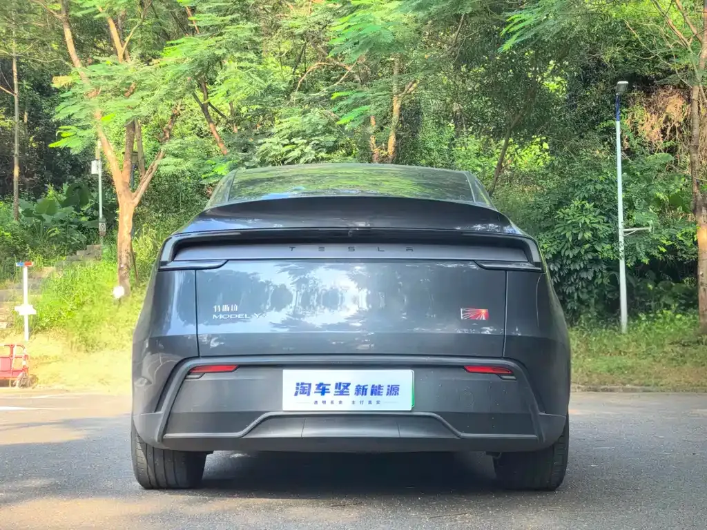 Tesla Model Y 2025 из CN, фото 5