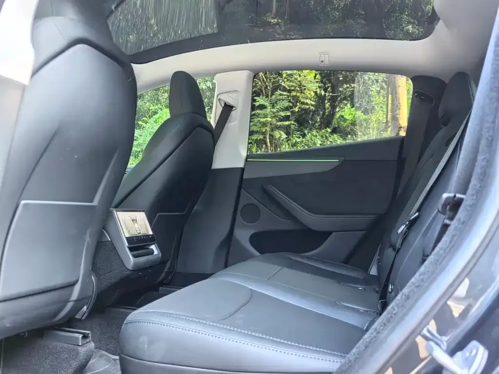 Tesla Model Y 2025 из CN, фото 8