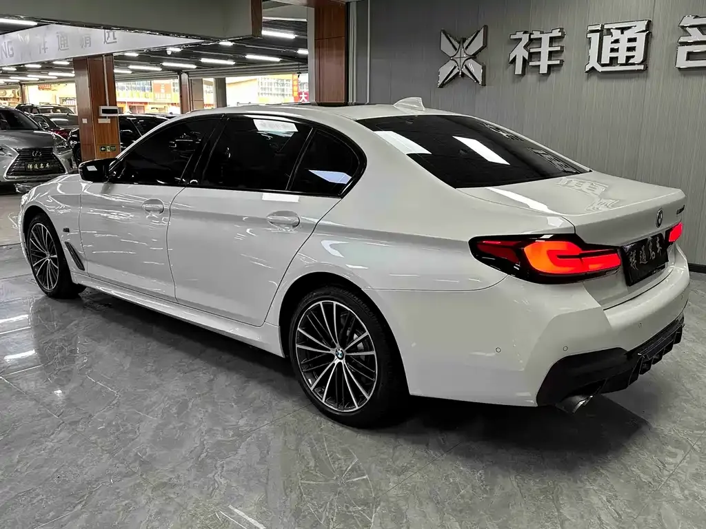 BMW 5 Series 2022 из CN, фото 10