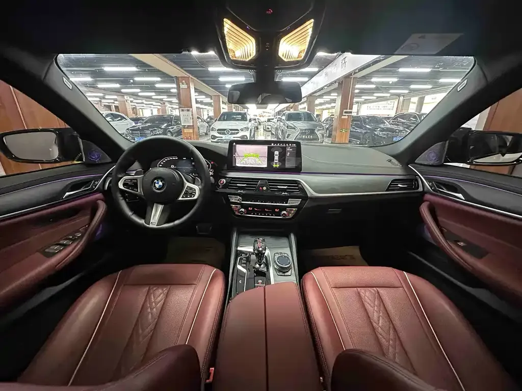 BMW 5 Series 2022 из CN, фото 4