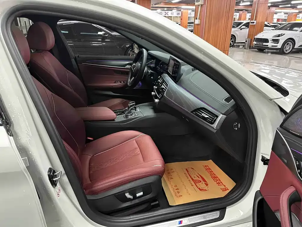 BMW 5 Series 2022 из CN, фото 6
