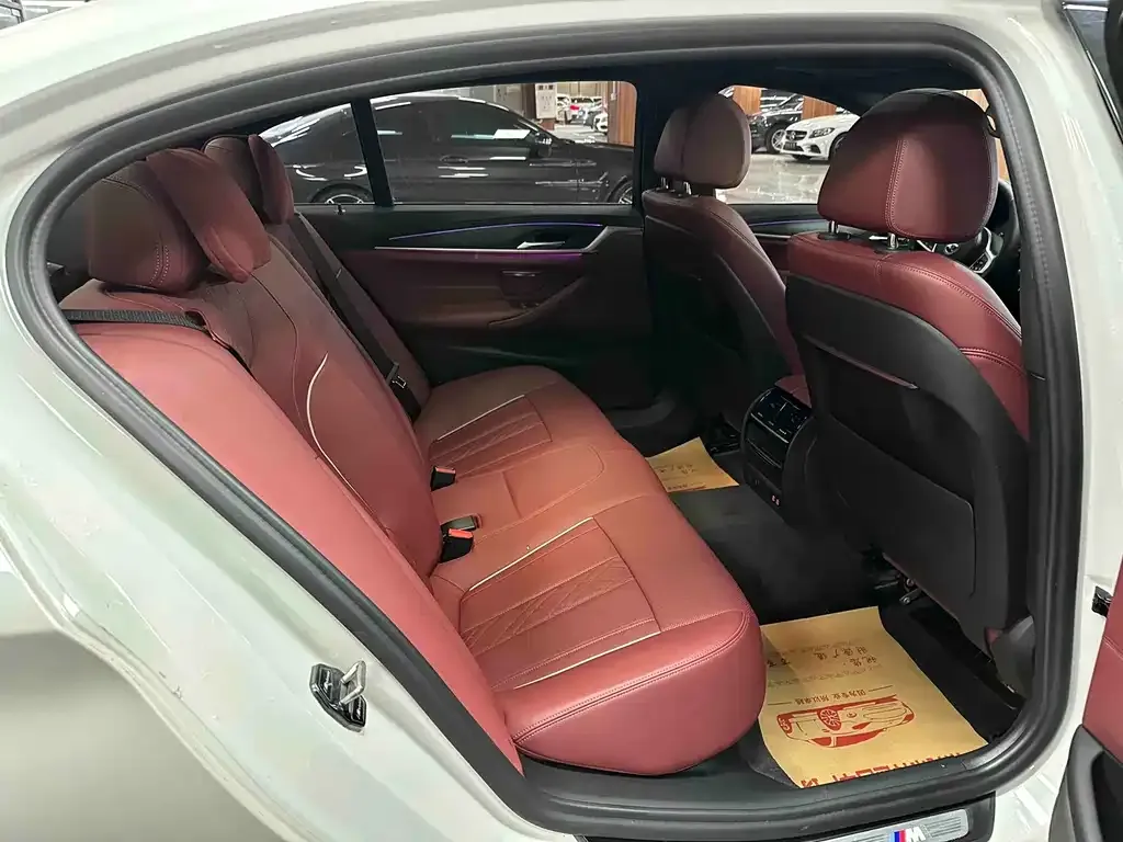 BMW 5 Series 2022 из CN, фото 7