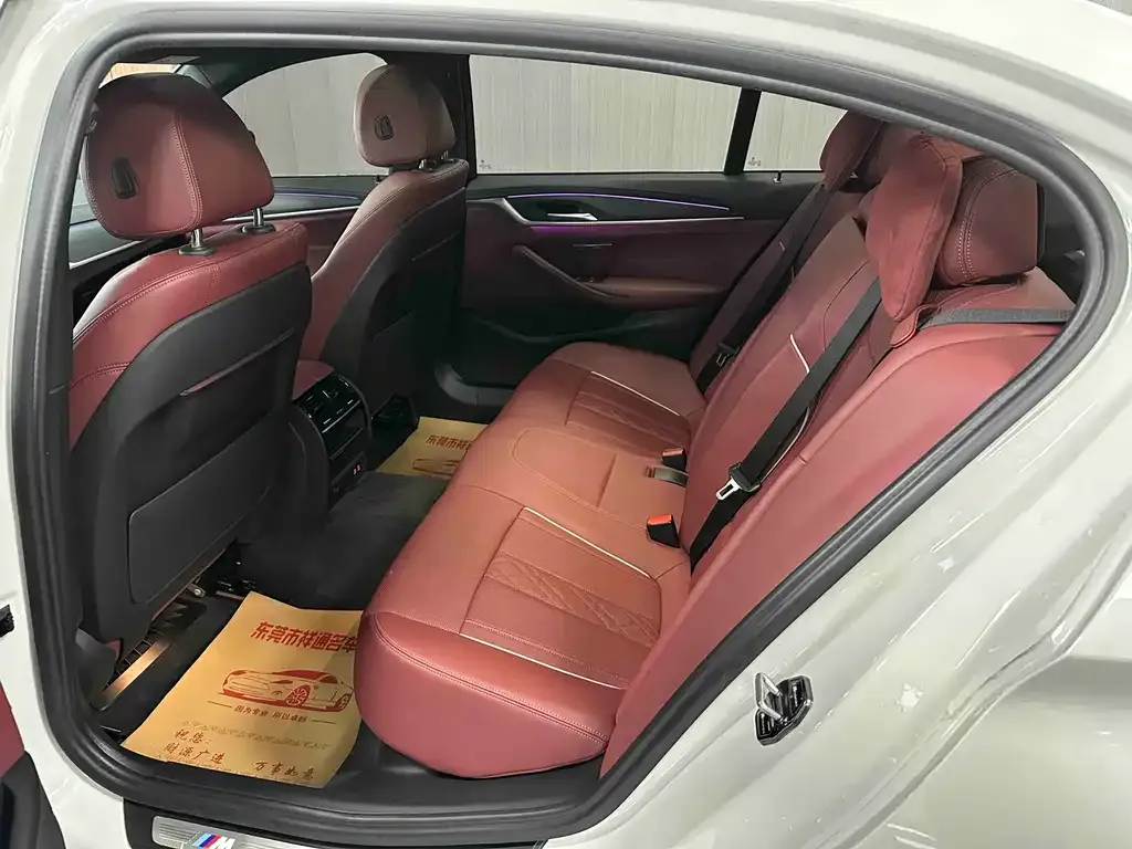 BMW 5 Series 2022 из CN, фото 8