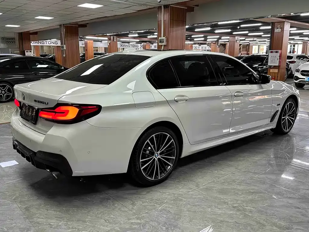 BMW 5 Series 2022 из CN, фото 9