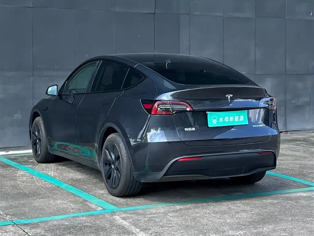 Tesla Model Y 2024 из CN, фото 7