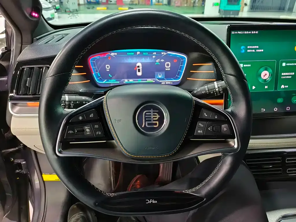 BYD Tang New Energy 2022 из CN, фото 10