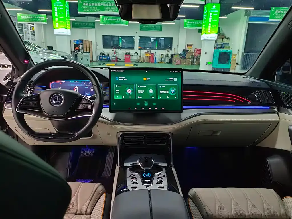 BYD Tang New Energy 2022 из CN, фото 5