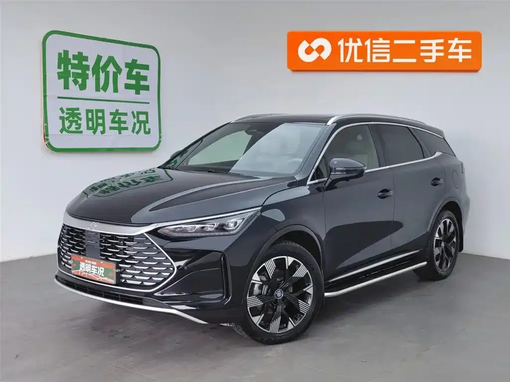 BYD Tang New Energy 2024 из CN, фото 1