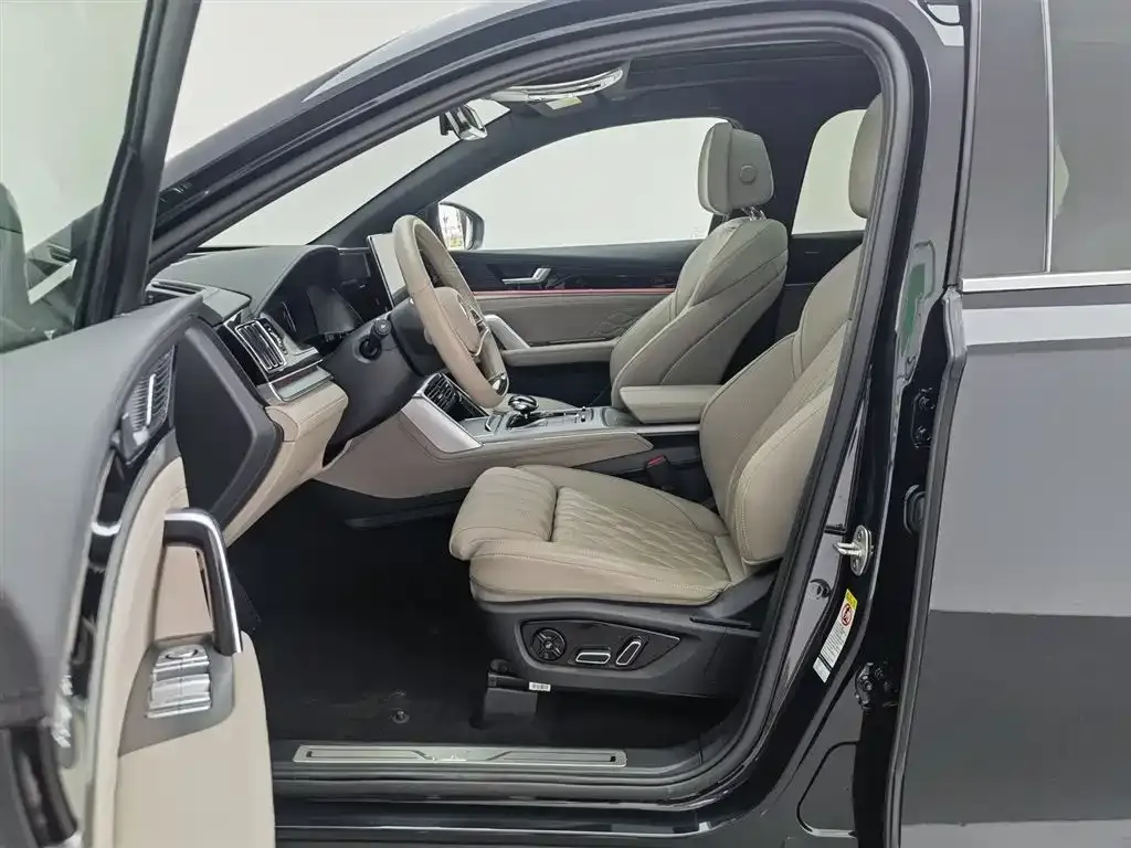 BYD Tang New Energy 2024 из CN, фото 10