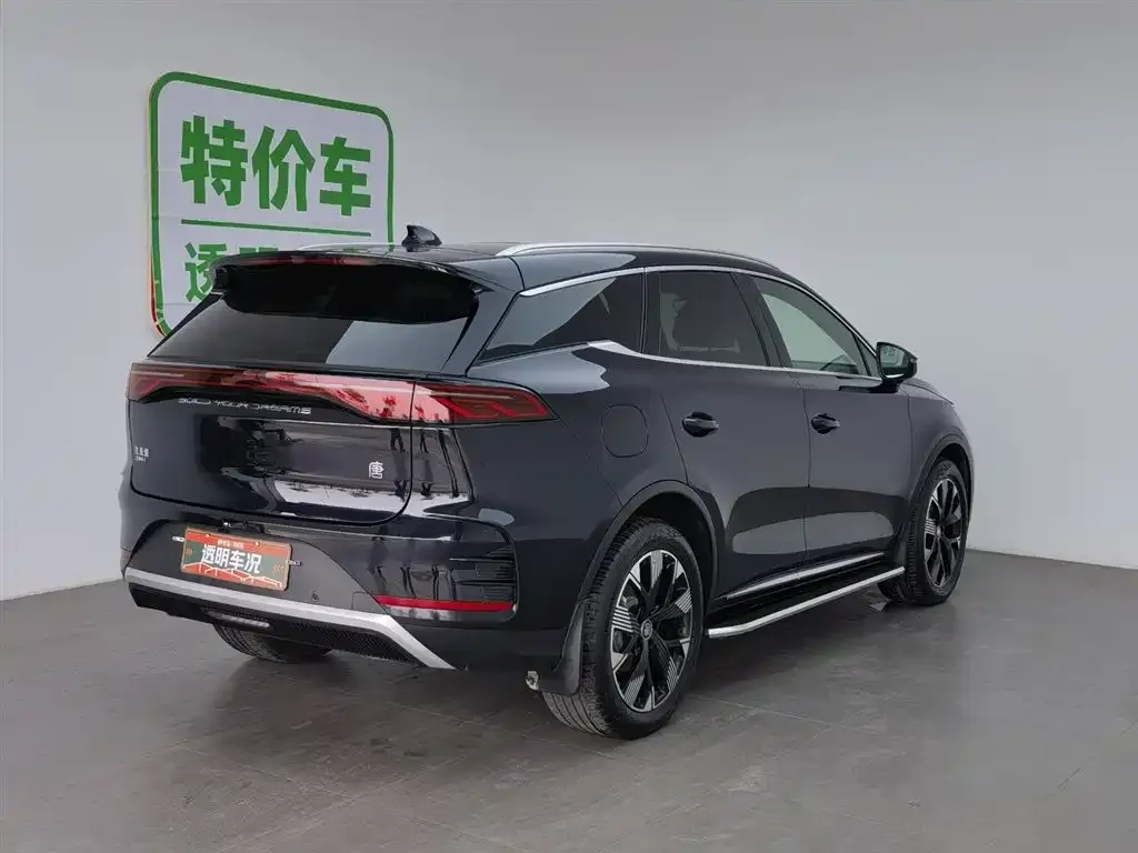 BYD Tang New Energy 2024 из CN, фото 2