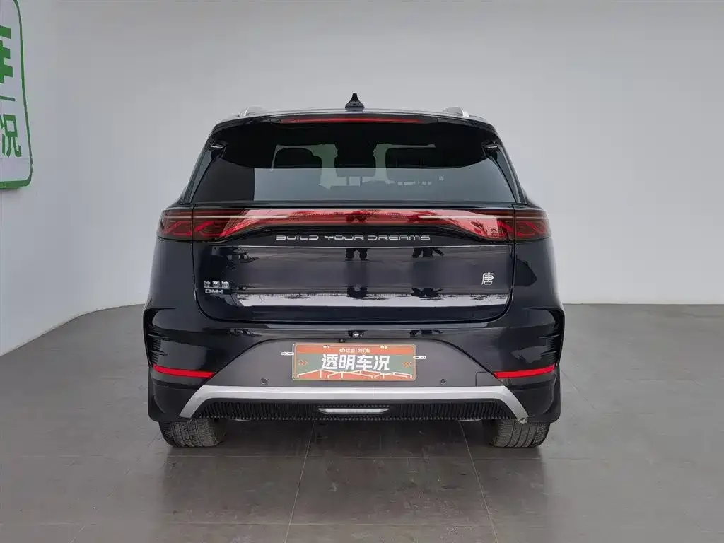 BYD Tang New Energy 2024 из CN, фото 4