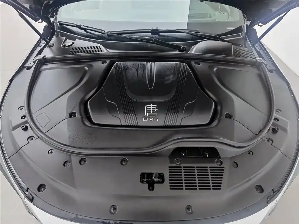 BYD Tang New Energy 2024 из CN, фото 6