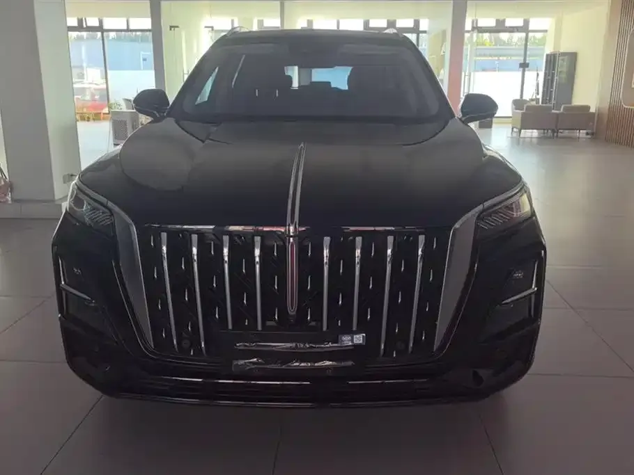 Hongqi HS5 2023 из CN, фото 2