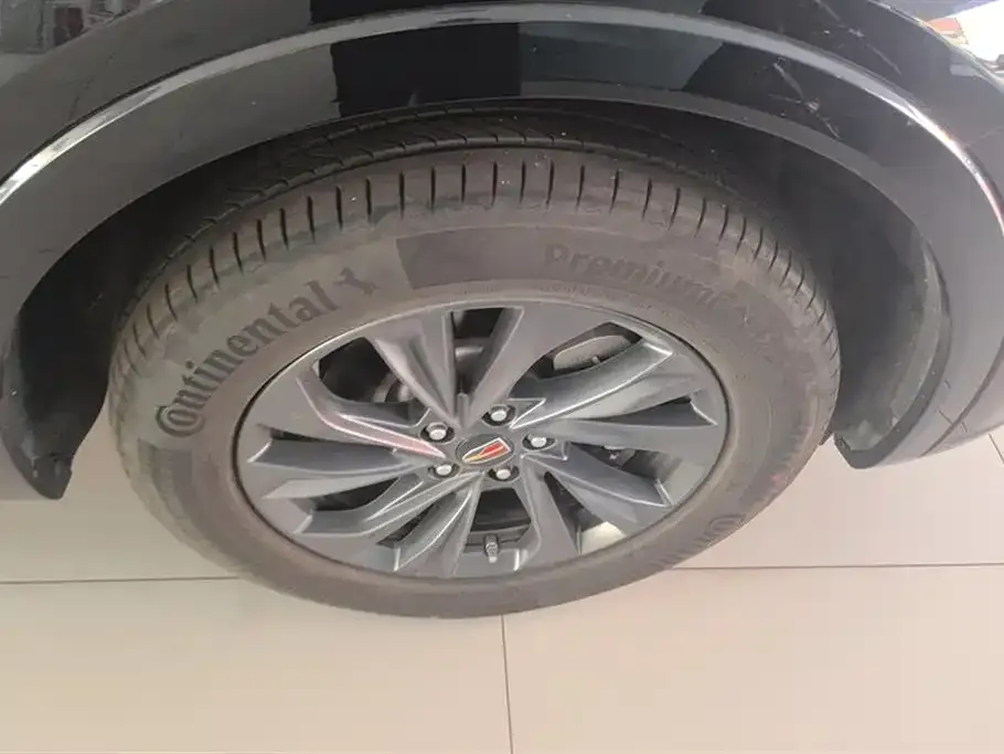 Hongqi HS5 2023 из CN, фото 6