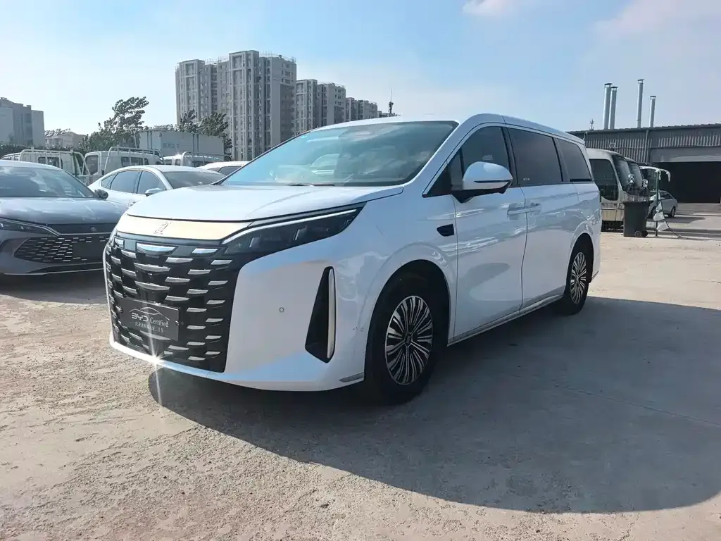 BYD Xia 2025 из CN, фото 1