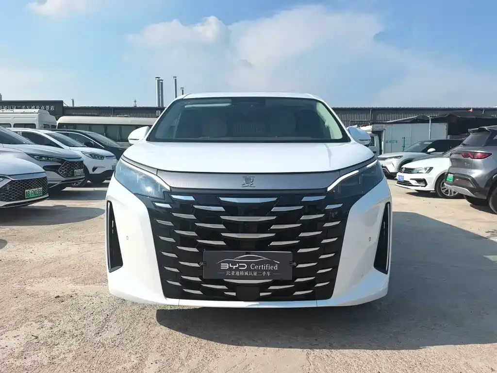 BYD Xia 2025 из CN, фото 2