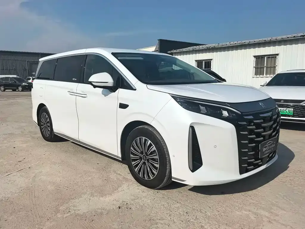 BYD Xia 2025 из CN, фото 3