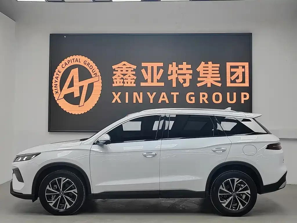BYD Pro New Energy 2025 из CN, фото 2
