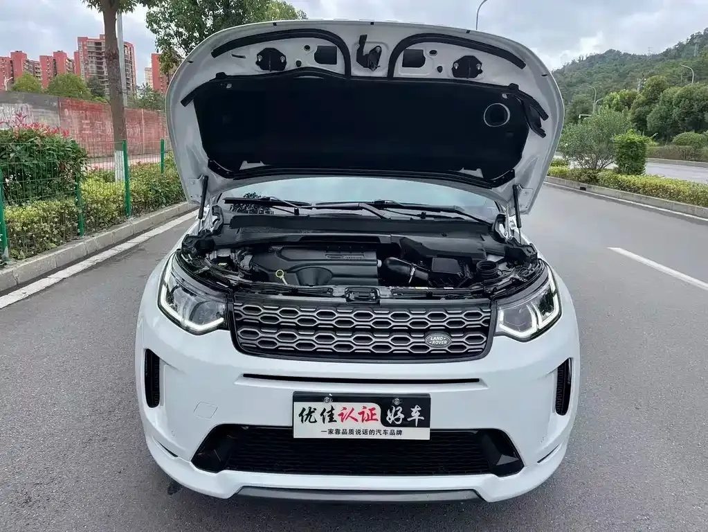Land Rover Discovery Sport 2021 из CN, фото 8